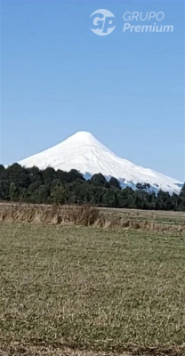 -7