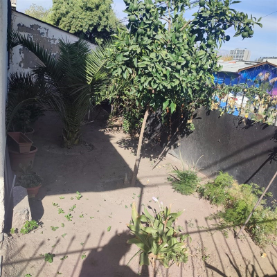 -20