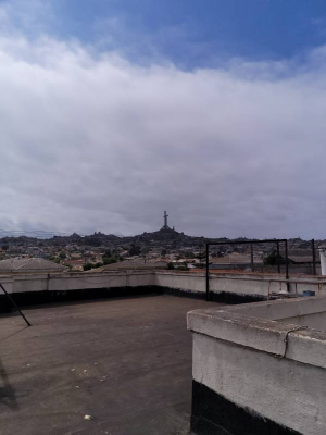 -19