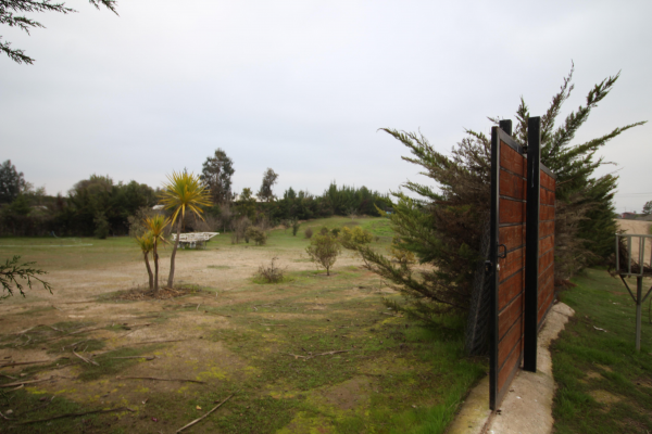 melipilla-(156249)-3