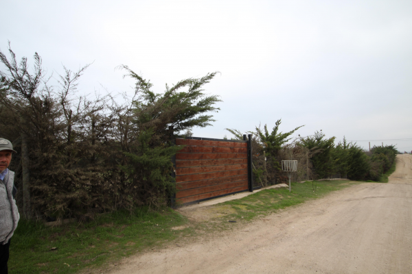 melipilla-(156249)-4
