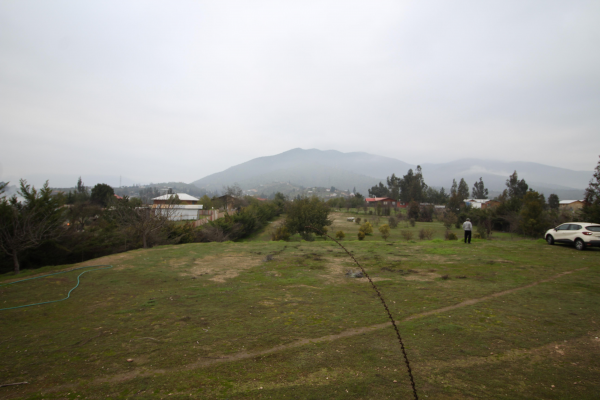 melipilla-(156249)-9