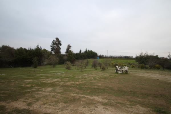 melipilla-(156251)-6