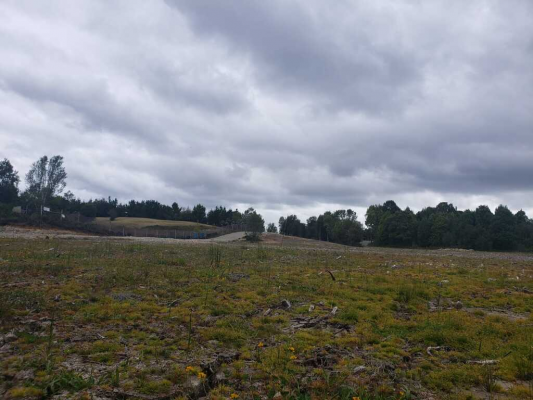 ruta-226-(506)-6