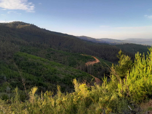 lago-vichuquen-(65669)-6