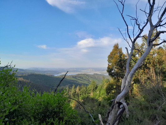 lago-vichuquen-(65669)-7