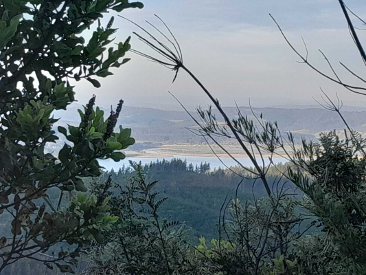 lago-vichuquen-(65669)-8