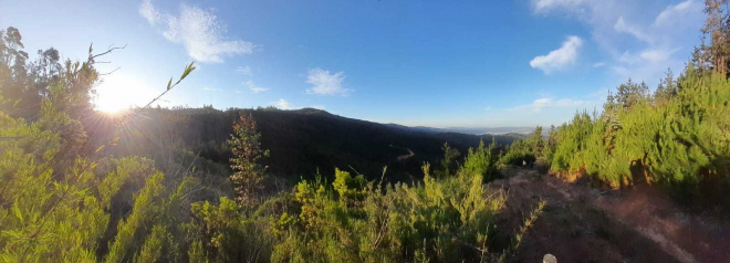 lago-vichuquen-(65669)-9