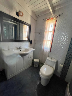 local-comercial-activo-+-casa-y-bodega-(137364)-9