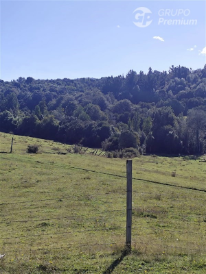 114075765-3