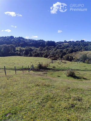 114075765-4