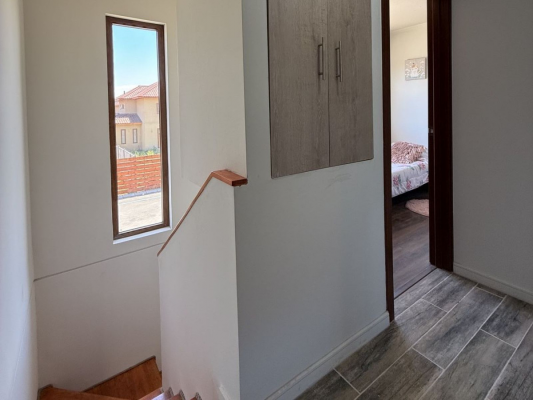 p20255330gg-7