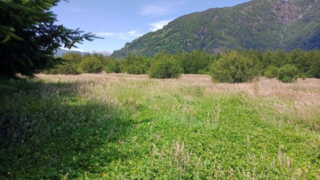 exclusivo-sitio-de-4404-m²-en-puerto-aysen-(73368)-8