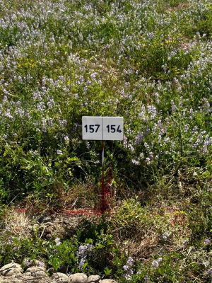 -17