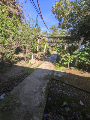 501794-3