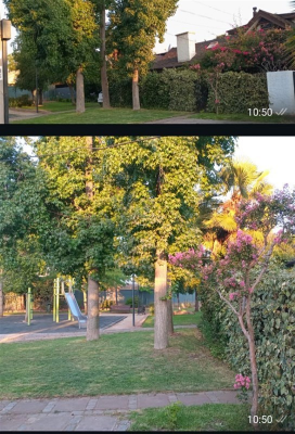 -38
