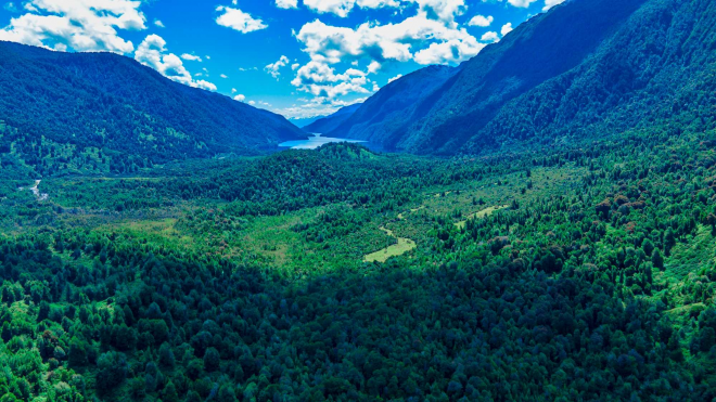 terreno-de-5ha-a-orilla-de-carretera-austral-(-4