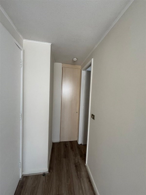 -8