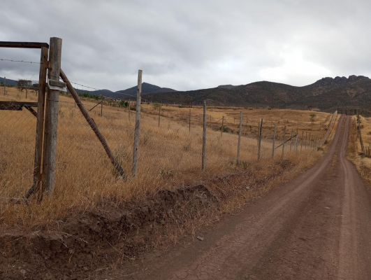 venta-terreno--talhuen--ovalle-5