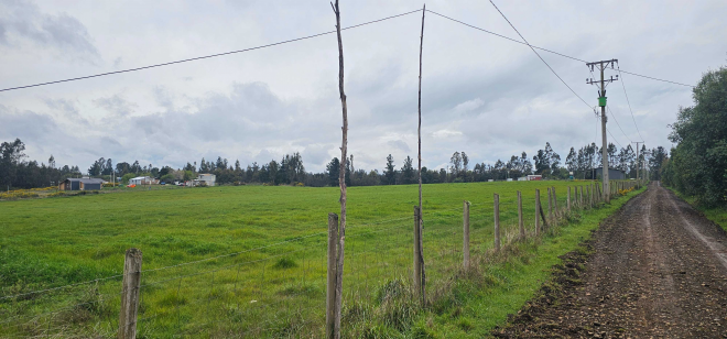 camino-temuco-chol-chol-(129530)-5