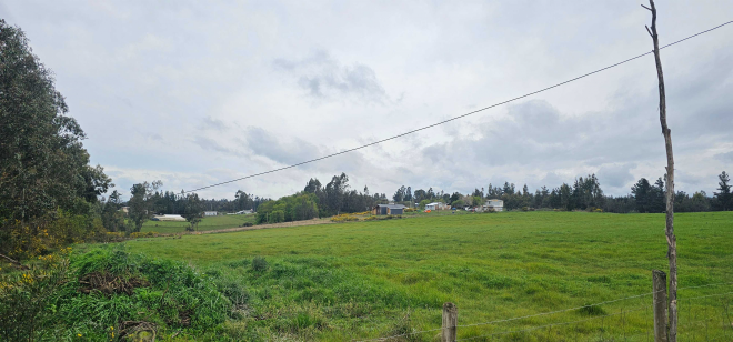 camino-temuco-chol-chol-(129530)-7
