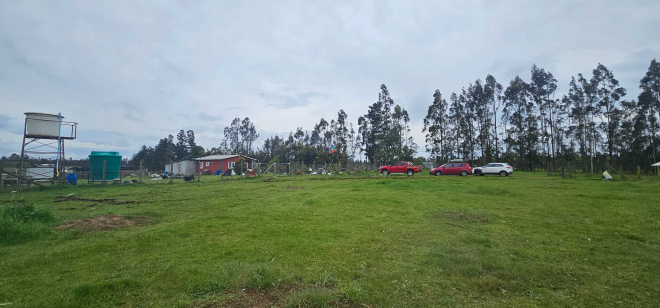 camino-temuco-chol-chol-(129530)-8