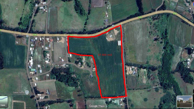 camino-temuco-chol-chol-(129530)-9