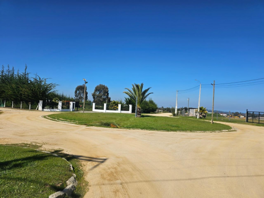 venta-parcela-5000m2-sta-maria-de-algarrobo-4