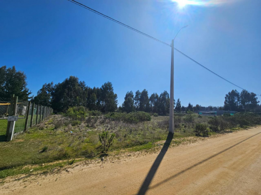 venta-parcela-5000m2-sta-maria-de-algarrobo-6