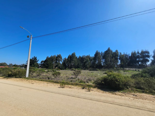 venta-parcela-5000m2-sta-maria-de-algarrobo-7