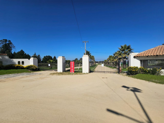 venta-parcela-5000m2-sta-maria-de-algarrobo-8