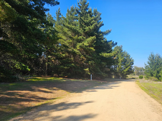 venta-parcela-5000m2-sta-maria-de-algarrobo-9