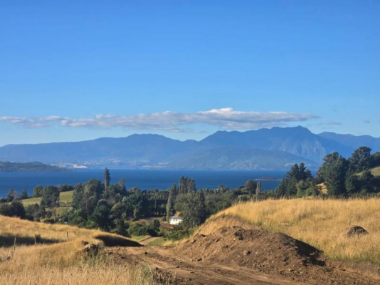 venta-parcela-10000mts-lago-ranco-3