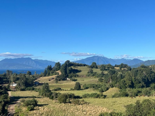 venta-parcela-10000mts-lago-ranco-6