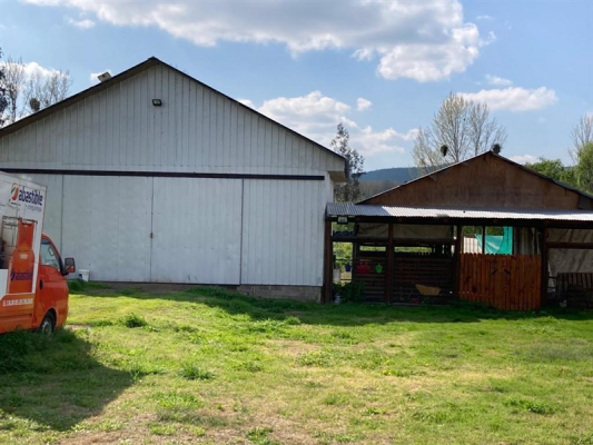 -19