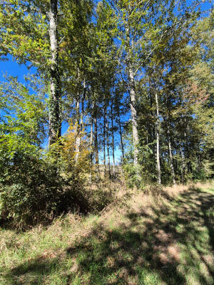 p20267171fr4-4