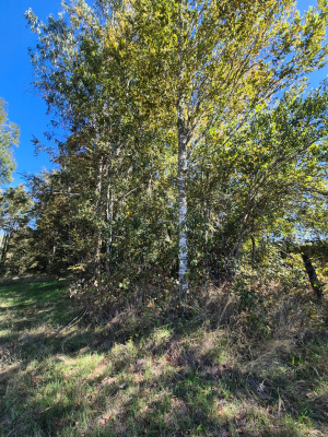 p20267171fr4-7