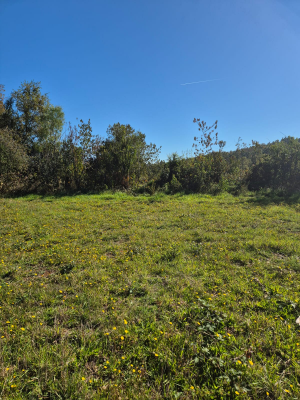 p20267171fr4-8