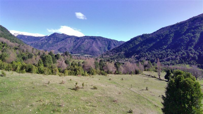 110007354-4