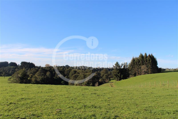 -19