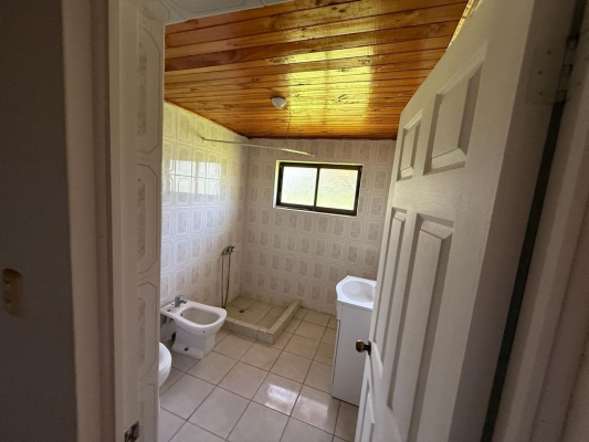 venta-terreno-con-casa-cercano-a-strip-center-p-6