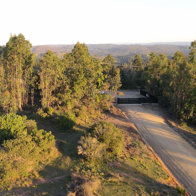 -1