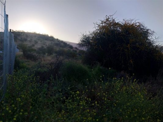104110721-7