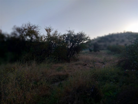 104110721-9