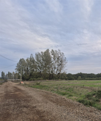 104013941-8