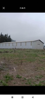 se-vende-gran-terreno-con-un-gran-galpon-3