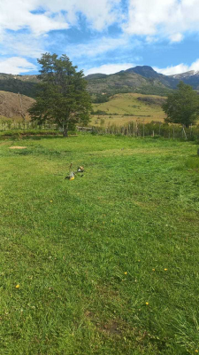 coyhaique---escuela-agricola-(77606)-7