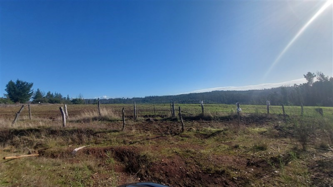 116139625-7