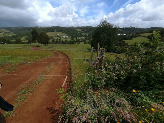 venta-de-campo-colonia-el-nady-3