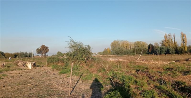 110139628-7